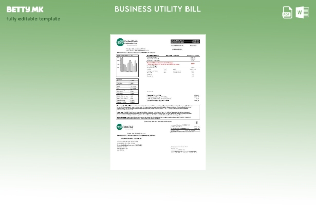 Сметка за комунални услуги на USA Craighead Electric